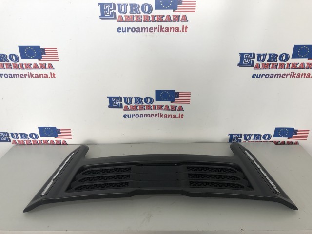 Rear Trim